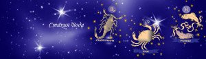 ТАЛИСМАНЫ СТИХИЙ ЗОДИАКА. 5 voda