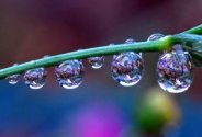 Сила воды. 2 rosa_08