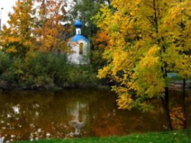 62463__small-chapel-between-forest_p