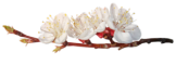 18206179