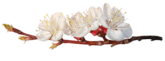 18206179