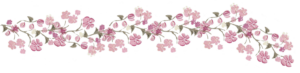 577814a6516af155ad10a9bd 1