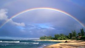 1288639733 double rainbow rainbow nature sky trees beach 1