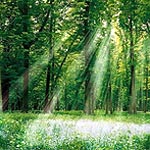Психологические тесты 10 6 1