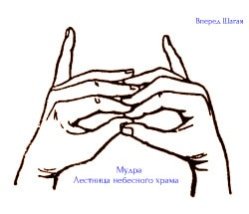 Целительные мудры 8