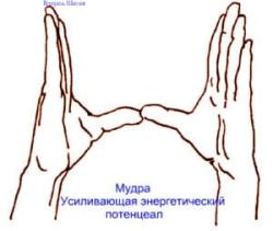 Целительные мудры 6 image 6