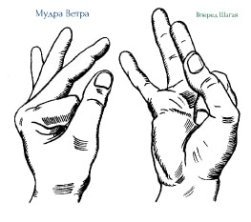 Целительные мудры 17 image 5