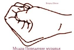 Целительные мудры 11 i 009