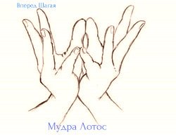 Целительные мудры 7