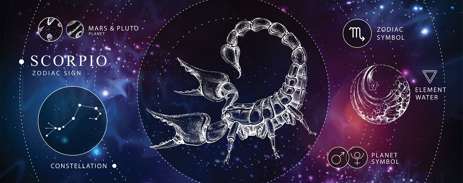 Скорпион 1 Horoscope Scorpio